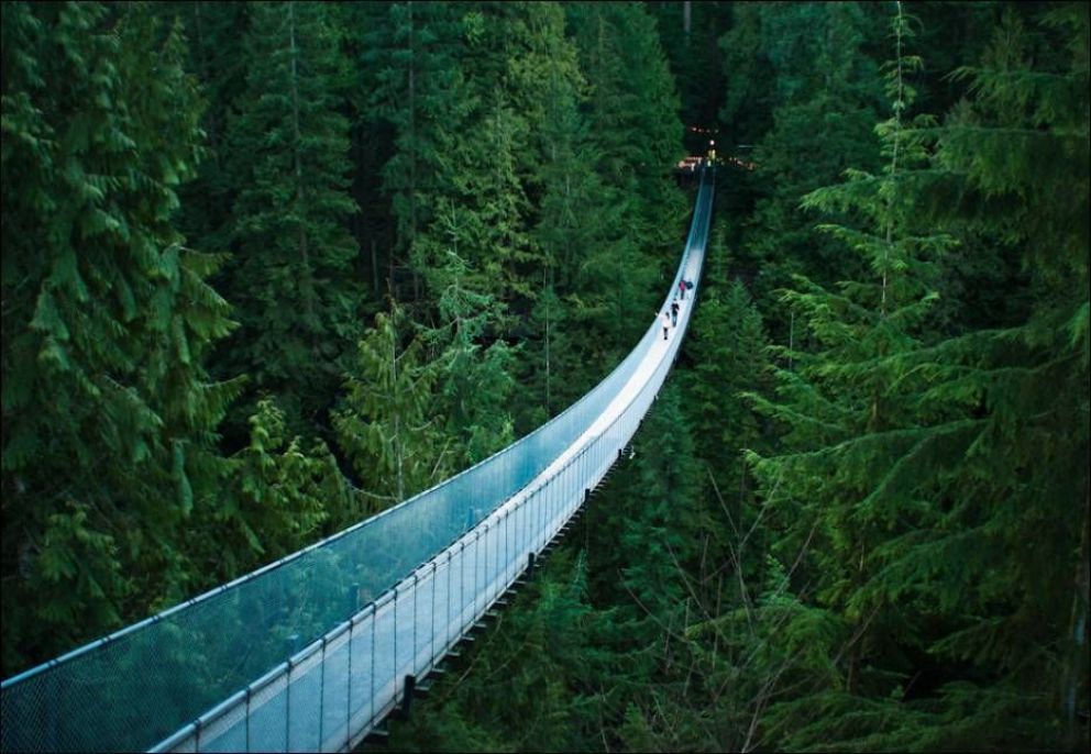 Los Puentes Mas Impresionantes Y Originales Del Mundo Diario Andino