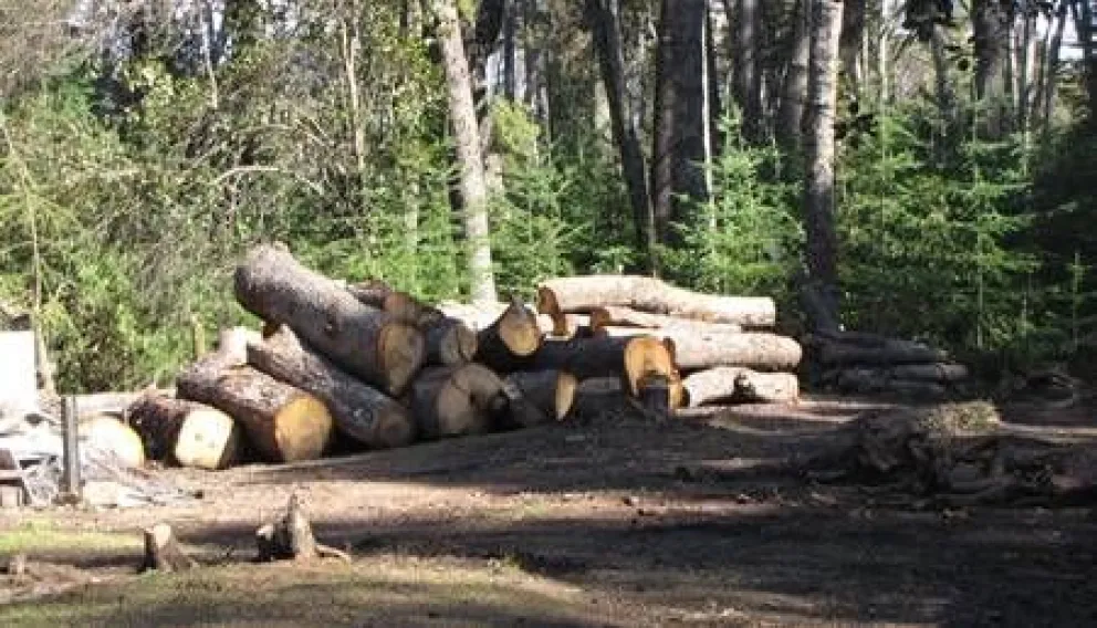 La Angostura que no queremos…