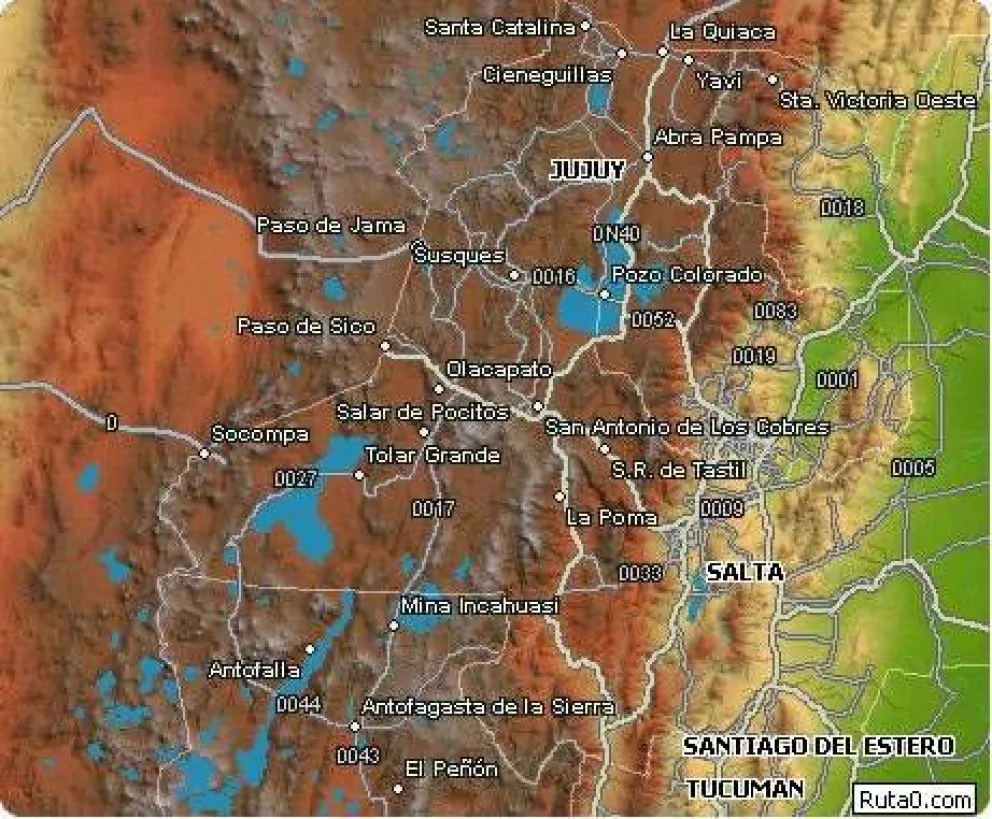 Descubrimiento científico peligra en la Puna Argentina