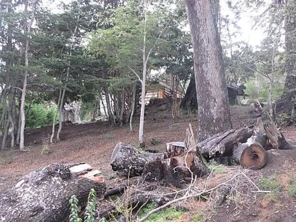 Apelaron el fallo judicial que obliga a devolverle un terreno a La Posada