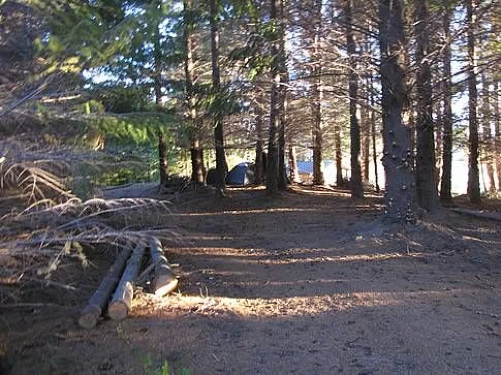 Nuevo revés judicial para el reclamo territorial mapuche: el Tribunal Superior de Justicia los obliga a restituir un terreno lindero a Puerto Elma 