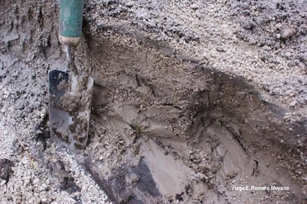 Cómo evoluciona la erupción del Puyehue  Cordón Caulle