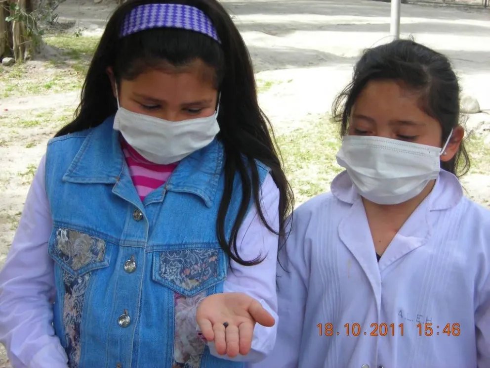 La Escuela 341 recuerda a los padres que los niños deben usar barbijo y antiparras