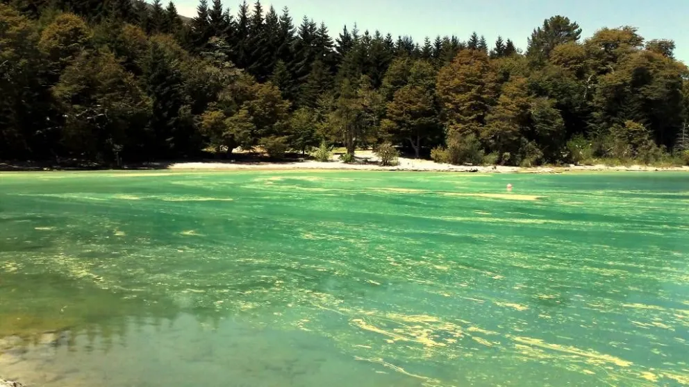 El crecimiento de algas en lagos patagónicos genera preocupación por su impacto ambiental 
