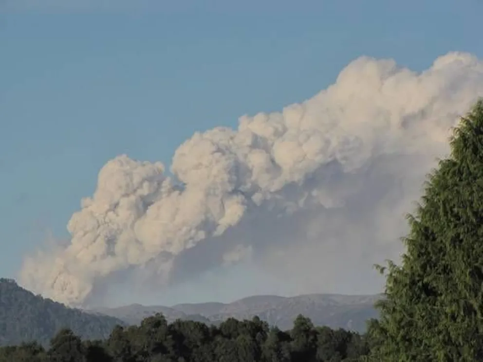 Volcán Puyehue: hallan efectos sorprendentes sobre la biodiversidad