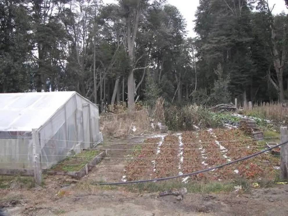La Comisión Directiva de la Asociación Civil Eco Huertas Angostura convoca a Asamblea 