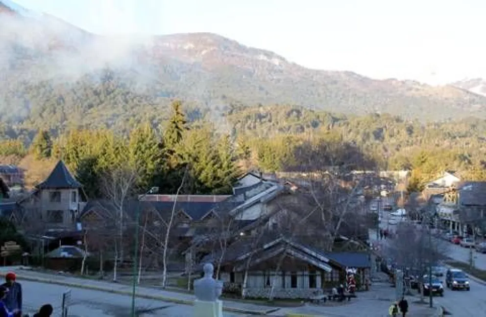 Ley de Bosques: claves para entender el conflicto