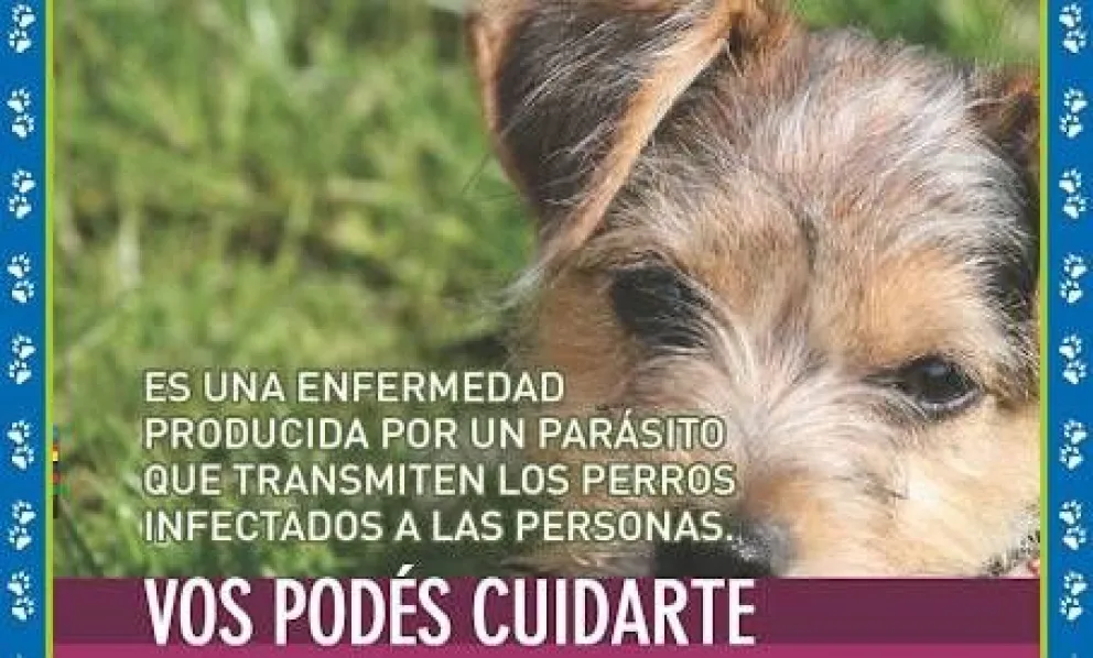 La hidatidosis: formas de contagio y prevención