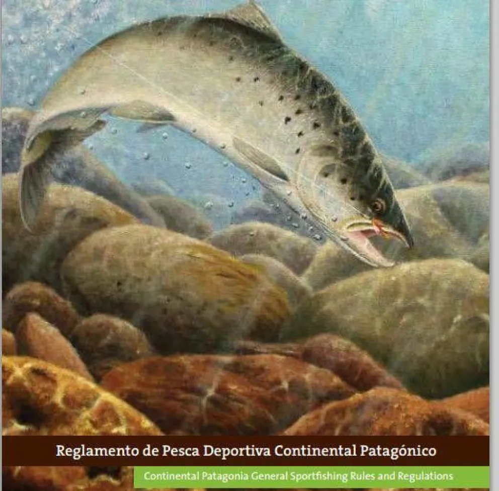 Pesca: reglamento y puntos de venta en Villa La Angostura