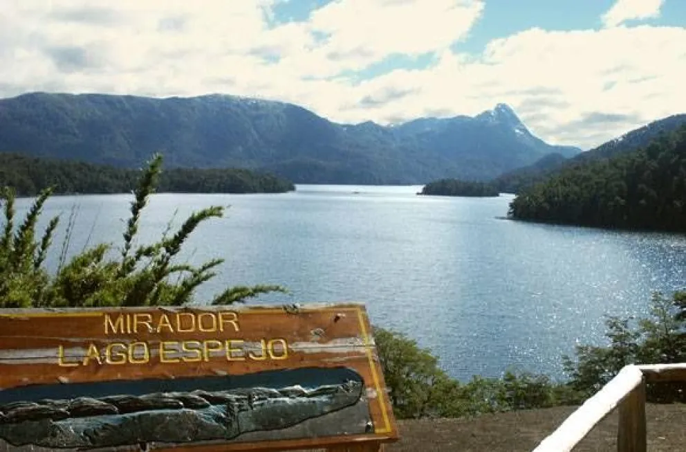 Continúan las tareas de apeo y poda de árboles en el lago Espejo