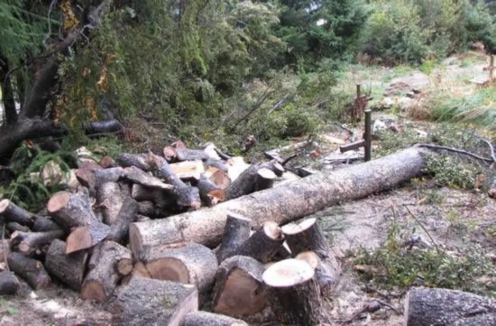 Apertura de Calle en Manzano:  Mascías explicó los motivos por los cuales el contrato con el privado no pasó por el Concejo.