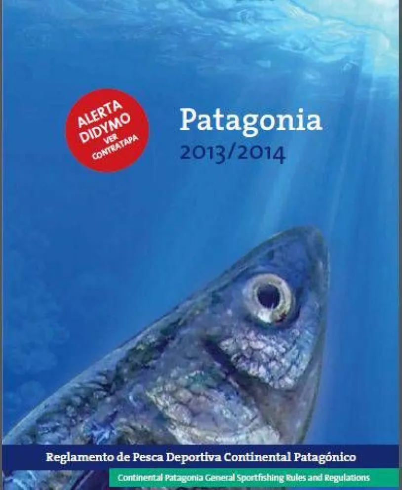 Permiso de pesca: todo lo que hay que saber