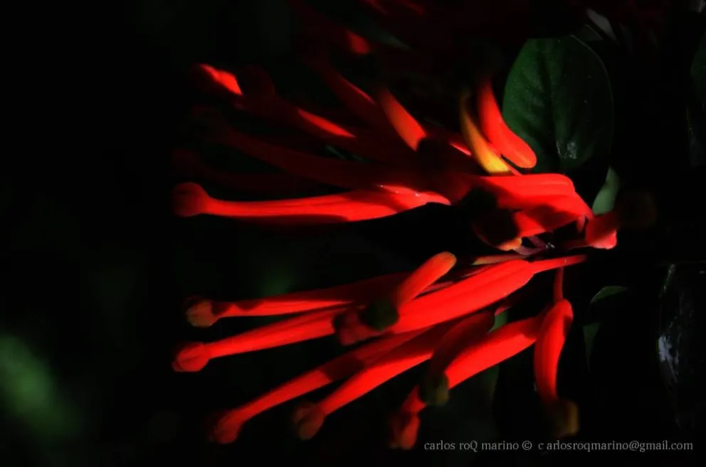 La Puta Madre que suerte que viviste entre nosotros, Juan