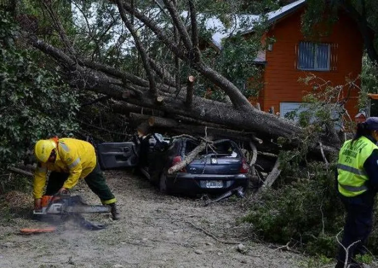 En Bariloche, por el viento, cayó un árbol y mató a una chica de 19 años |  Diario Andino Digital de Villa La Angostura y La Patagonia