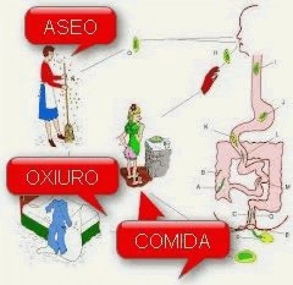 Parásitos: cómo detectarlos