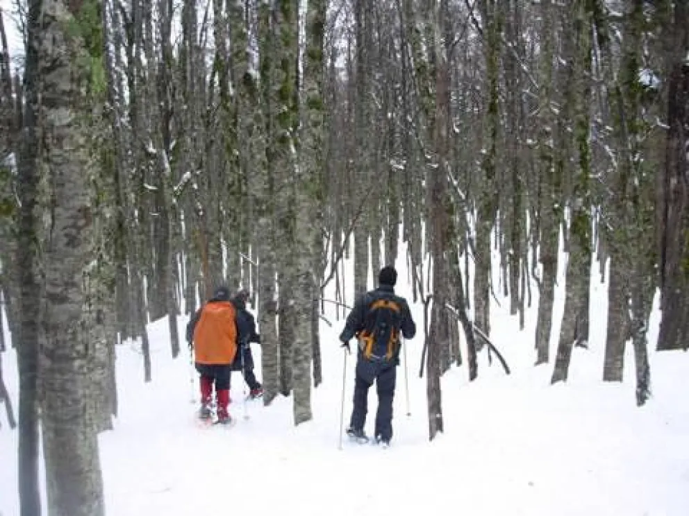 El CAVLA invita a su nueva salida de andinismo al Cerro Pantojo