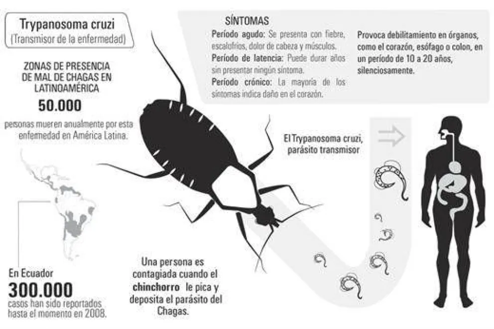 Chagas, una enfermedad con la que aún se sigue luchando