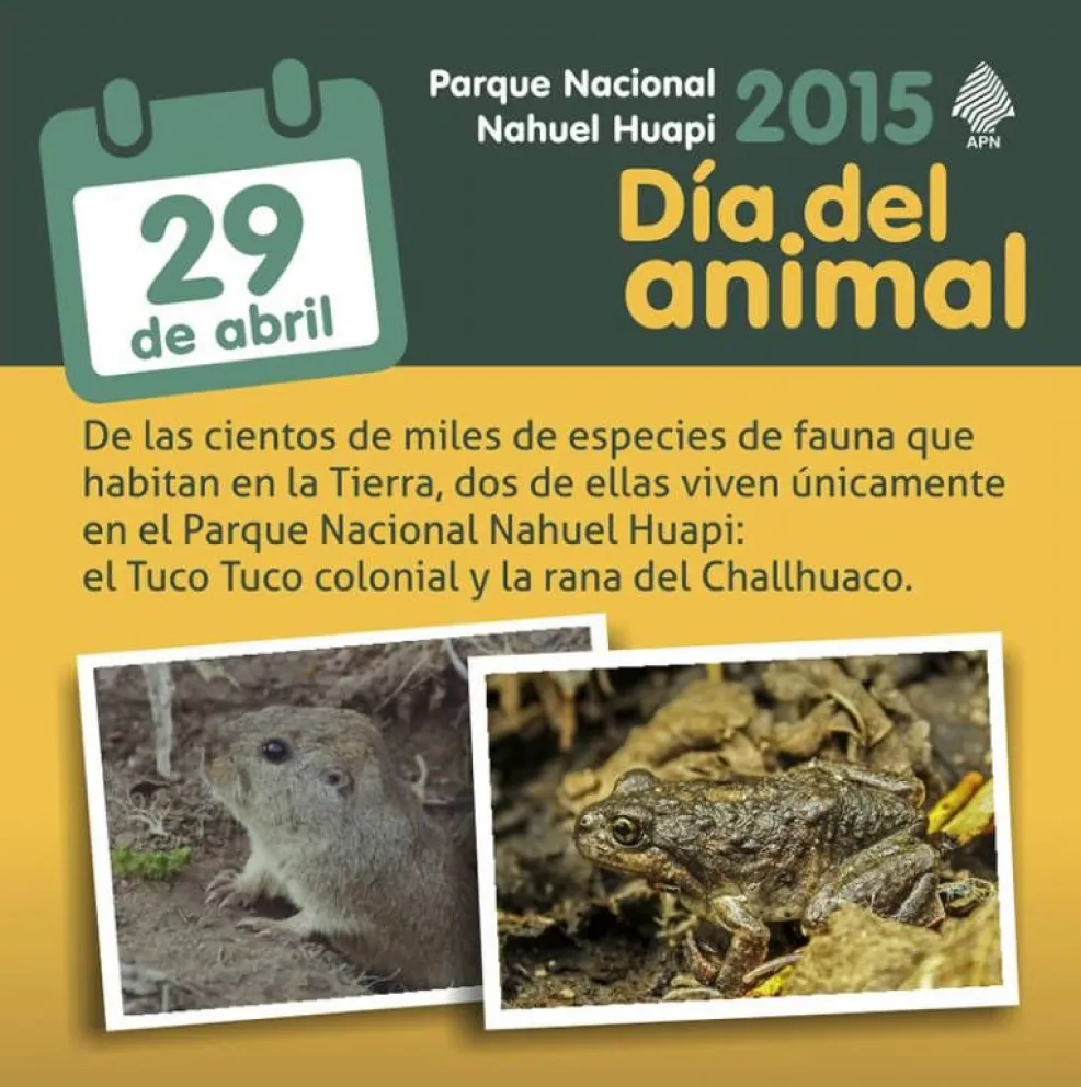 Hoy se celebra el Día del Animal