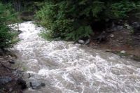 Debido a las intensas lluvias, suben el nivel de alerta los arroyos y ríos del ejido