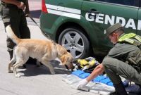 “Los narcos han ganado las calles de Angostura, Gendarmería debe salir a las calles”