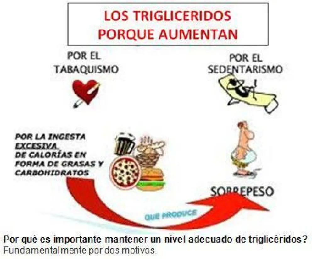 ¿Qué son los triglicéridos?