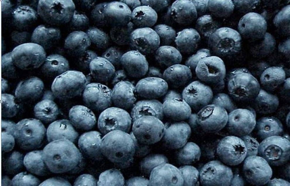 El Calafate, de fruto ancestral a superberrie Diario Andino Digital