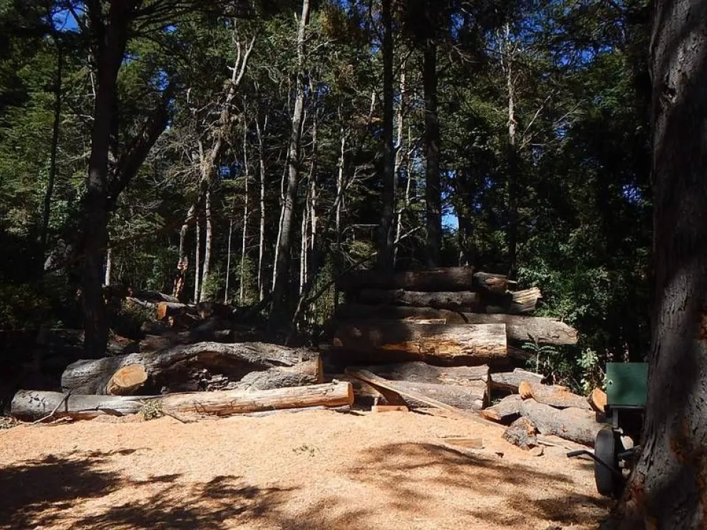 Concejales investigan porqué el Ejecutivo contrató de manera directa a un privado para que abra una calle particular, y le prestó maquinaria de la comuna 