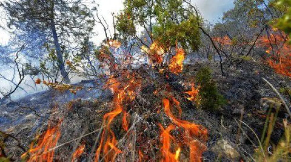 Defensa Civil recuerda el peligro que significa la pirotécnica  para los incendios forestales
