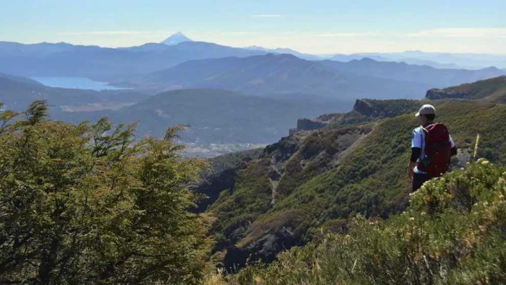 "El árbol generoso"