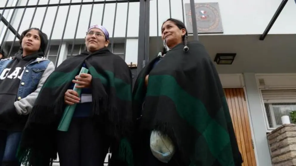 Mapuches  quieren importar plantas medicinales