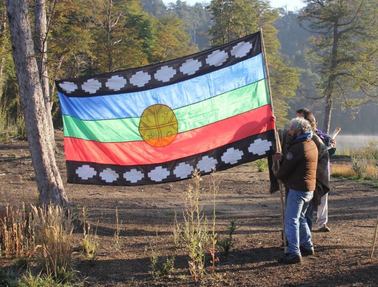 Nuevo revés para los reclamos mapuches: Parques Nacionales realizará auditorías y finalizará cesiones de tierras thumbnail