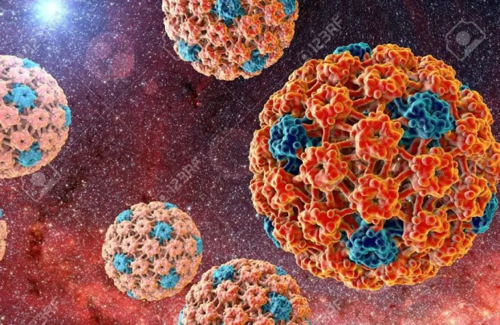 HPV ¿Entonces el hombre no es solo un portador?