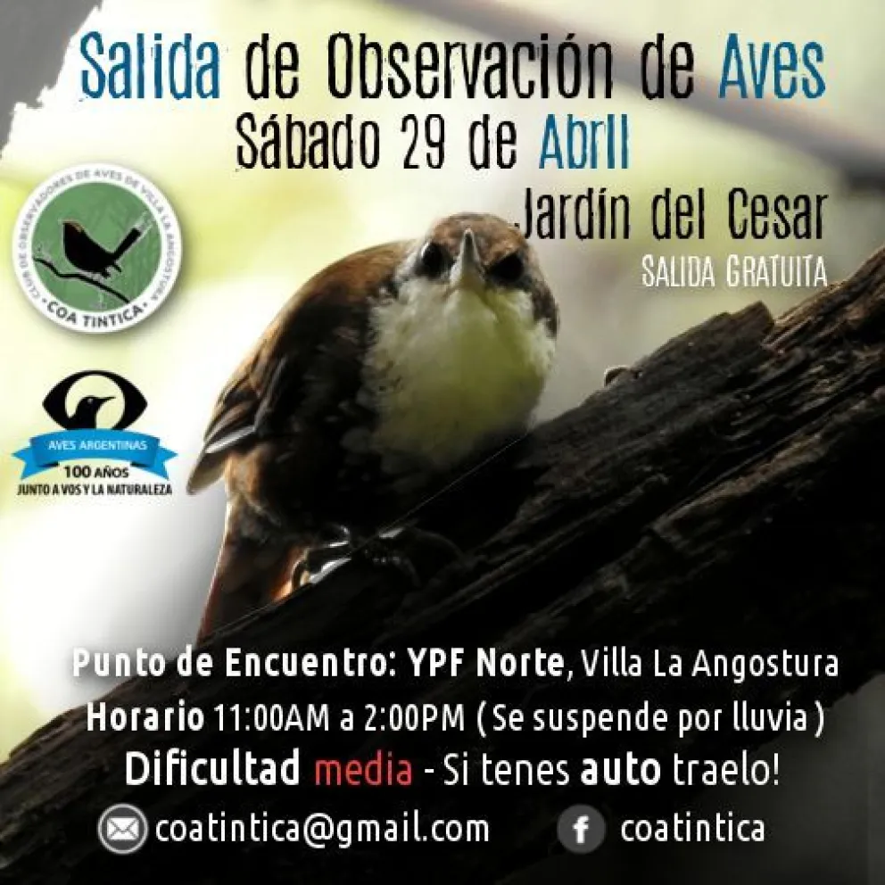 Salida de observación de aves por el "Jardín del César"