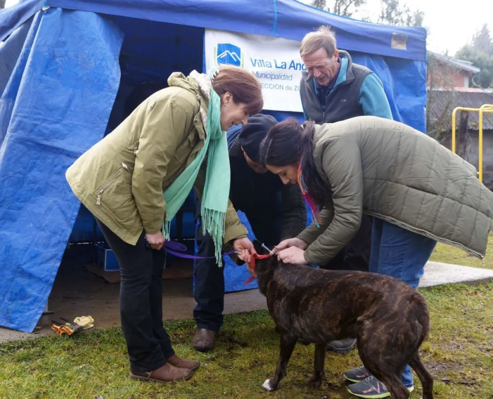Nueva campaña gratuita de vacunación antirrábica: será este sábado en la Dirección de Zoonosis