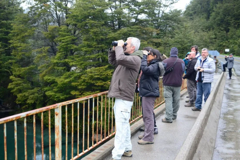 Invitan a participar de la 1era. Semana de Observación de Aves de Invierno de la Patagonia