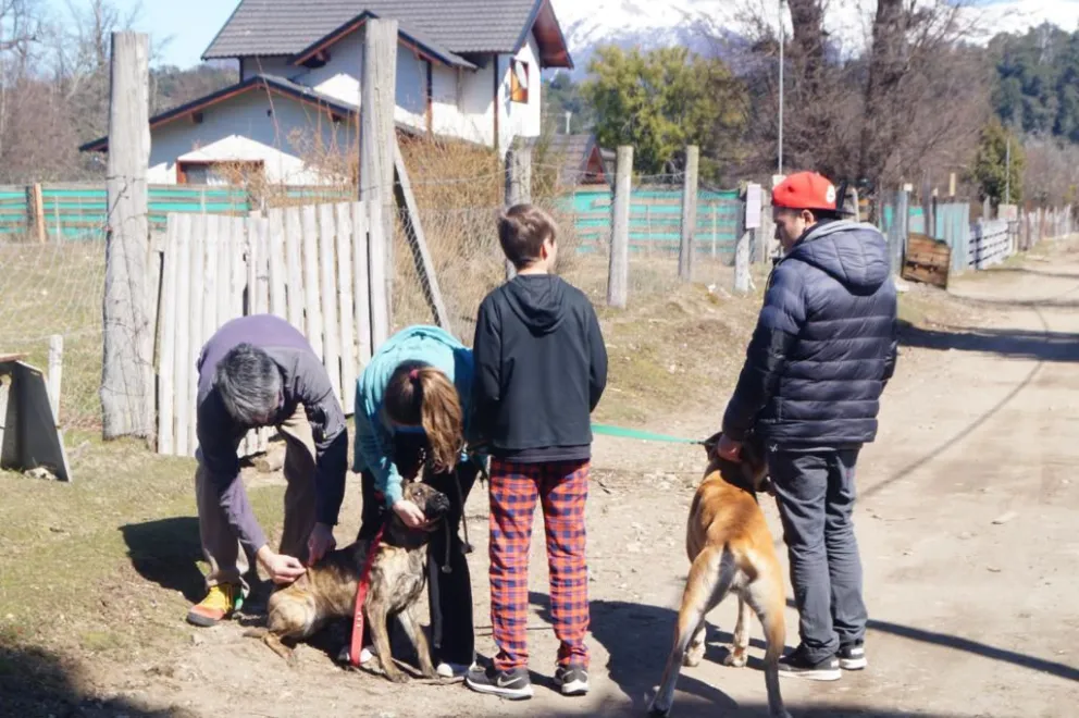 Realizarán jornada gratuita de vacunación antirrábica en el CCI