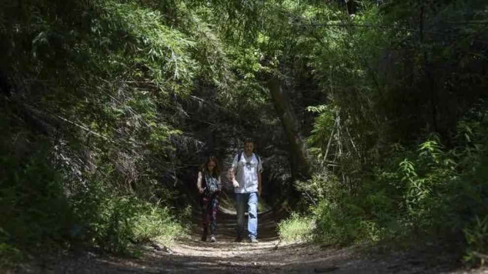 Cierre preventivo de todas las sendas de las zonas centro y sur del parque
