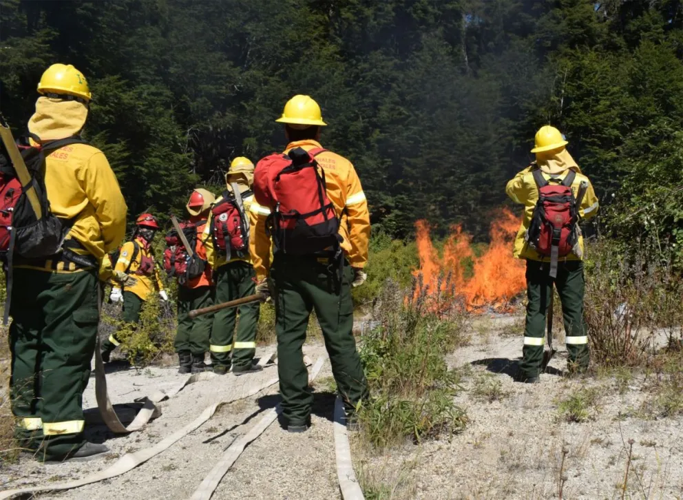 Arranca la quema controlada de residuos forestales en El Mallín este jueves