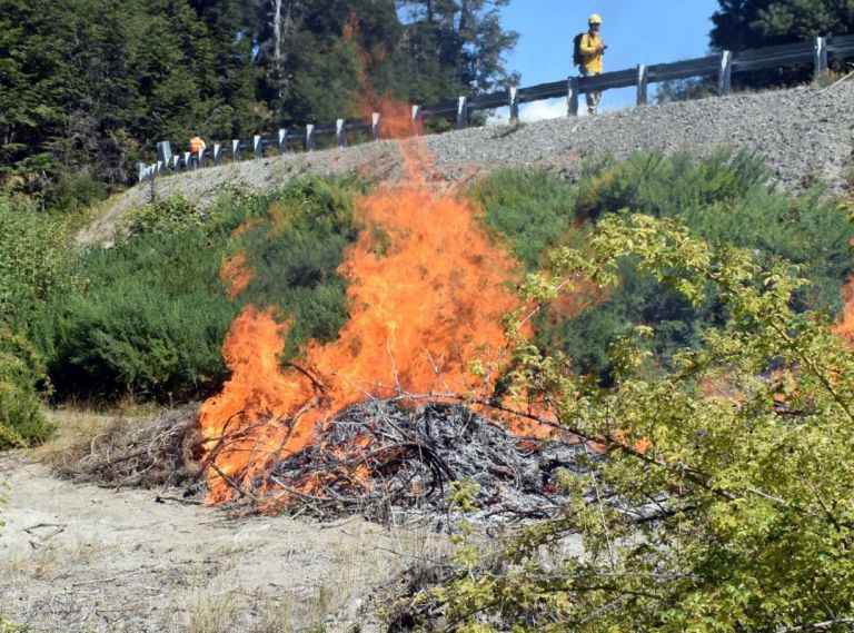 Pese a que PN habilitó la quema, desde Incendios Forestales remarcaron que continúa la veda thumbnail