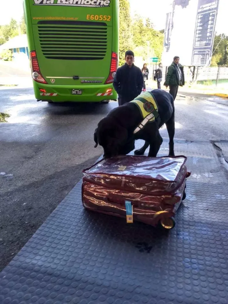 La provincia y los municipios firmarán acuerdo para luchar contra el microtráfico de drogas