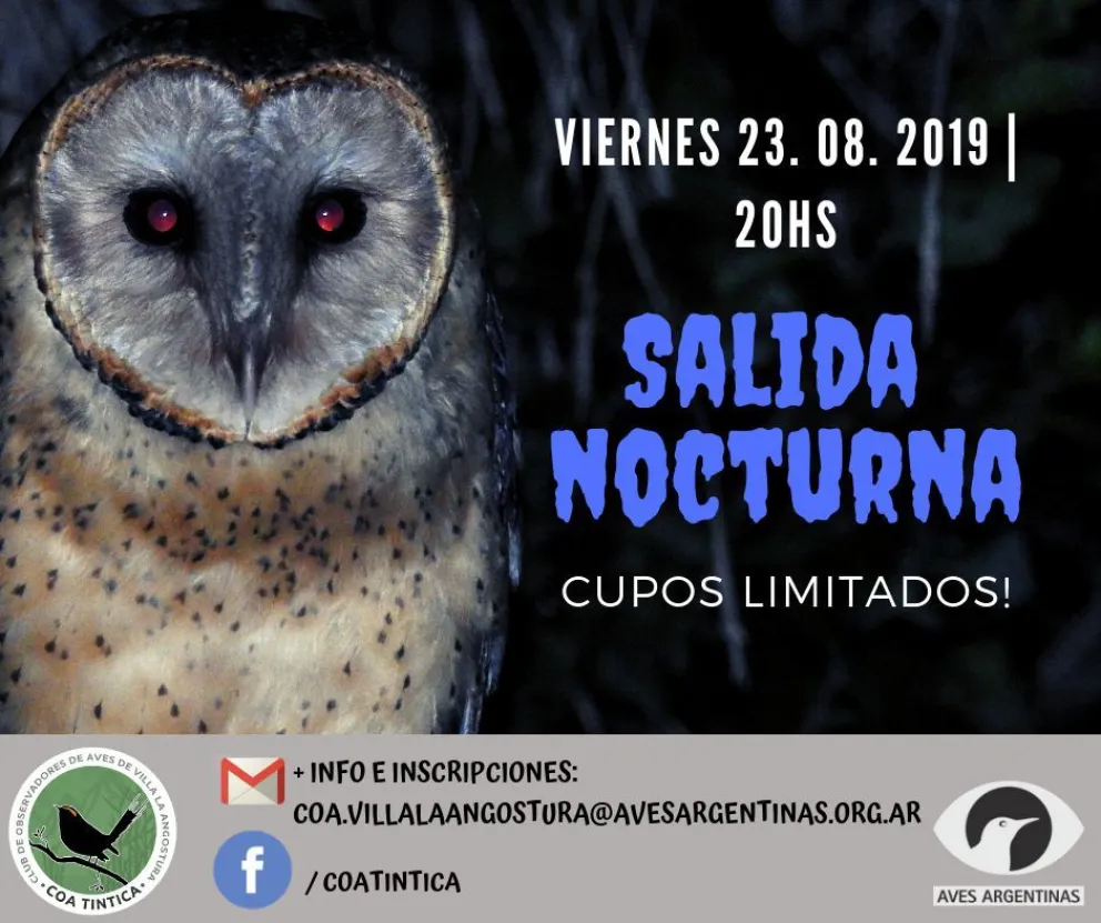 Salida nocturna de observación de aves