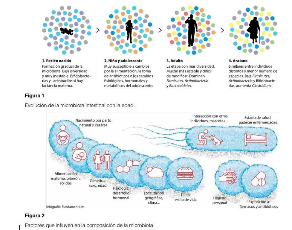 Microbiota, un mundo adentro nuestro