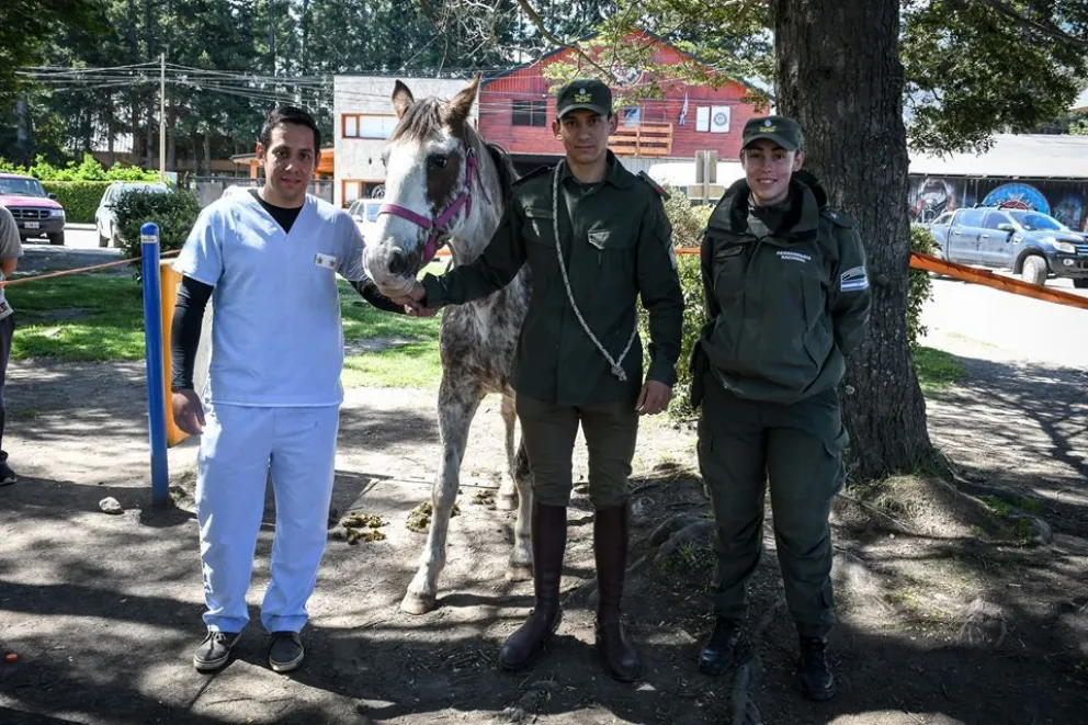 Murer busca avanzar, junto a Gendarmería, con un Proyecto de Equinoterapia
