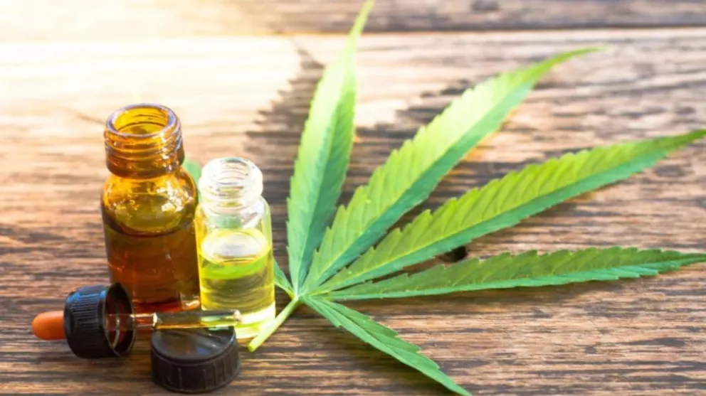 El uso medicinal de la planta de Cannabis y su historia