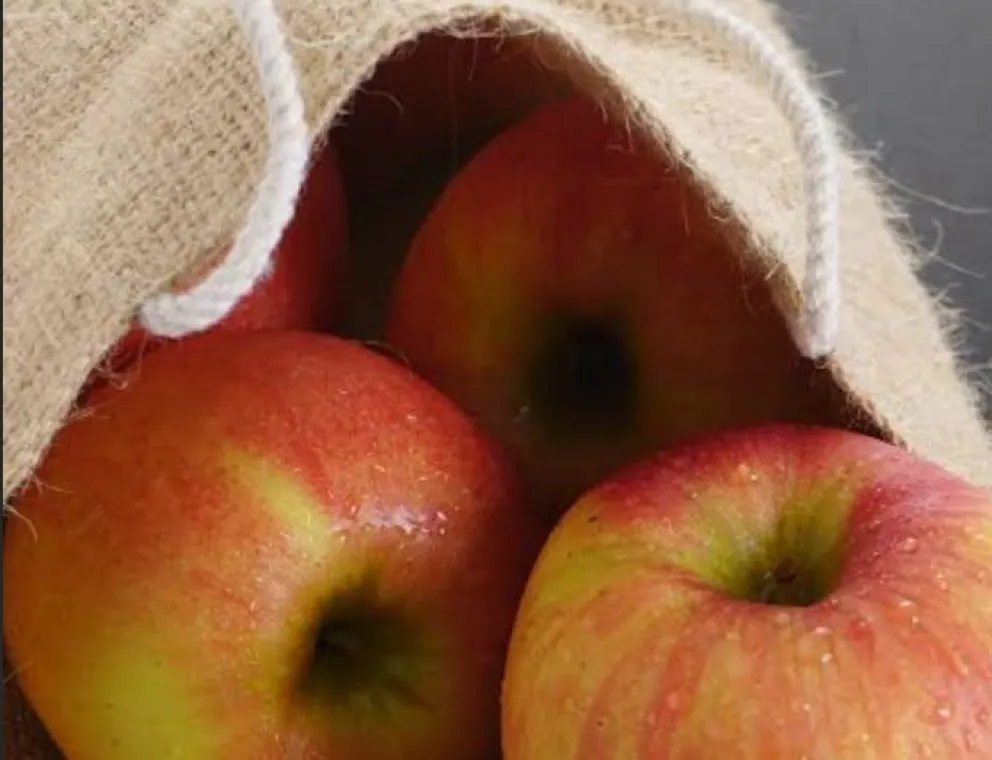 Recetas caseras de la abuela: Budín húmedo de manzanas