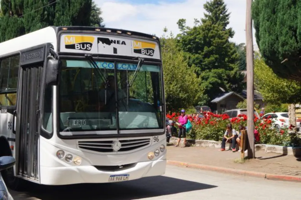 Elecciones 2023: este domingo habrá colectivos urbanos gratis de 8 a 18 horas