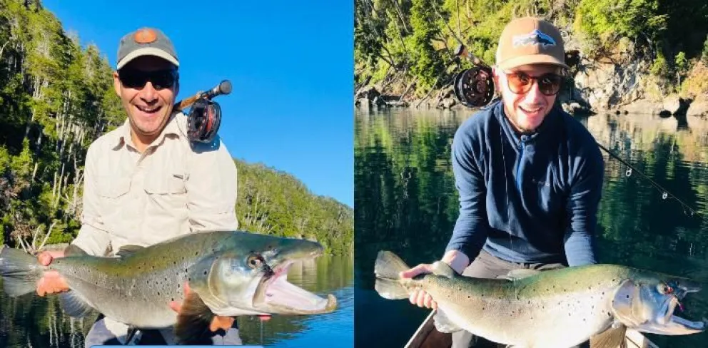 Capturaron una impresionante Trucha Marrón y la devolvieron