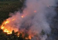 Un informe de Greenpeace indica que en seis meses el fuego arrasó con 7.700 hectáreas de Bosque