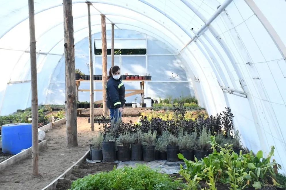 Recomendaciones sobre las tareas a  realizar en los jardines durante el otoño