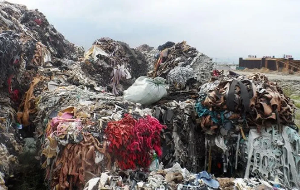 Moda fósil